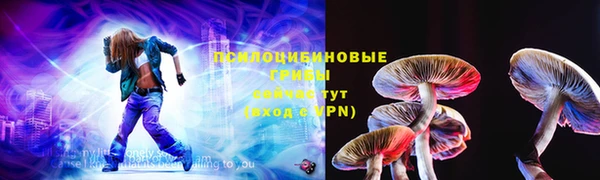 ПСИЛОЦИБИНОВЫЕ ГРИБЫ Липки