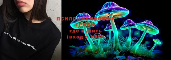 ПСИЛОЦИБИНОВЫЕ ГРИБЫ Липки