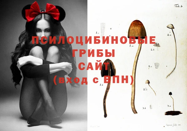 ПСИЛОЦИБИНОВЫЕ ГРИБЫ Липки