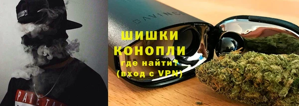 ПСИЛОЦИБИНОВЫЕ ГРИБЫ Липки