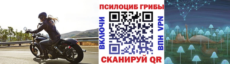 Галлюциногенные грибы GOLDEN TEACHER  купить  сайты  Цоци-Юрт 